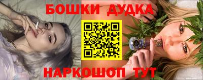 МДПВ Новодвинск