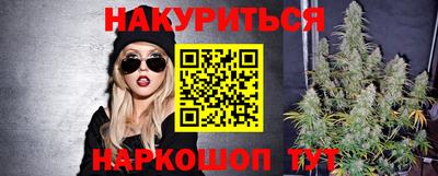 МДПВ Новодвинск