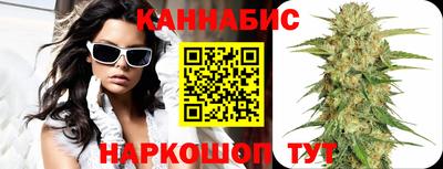 МДПВ Новодвинск
