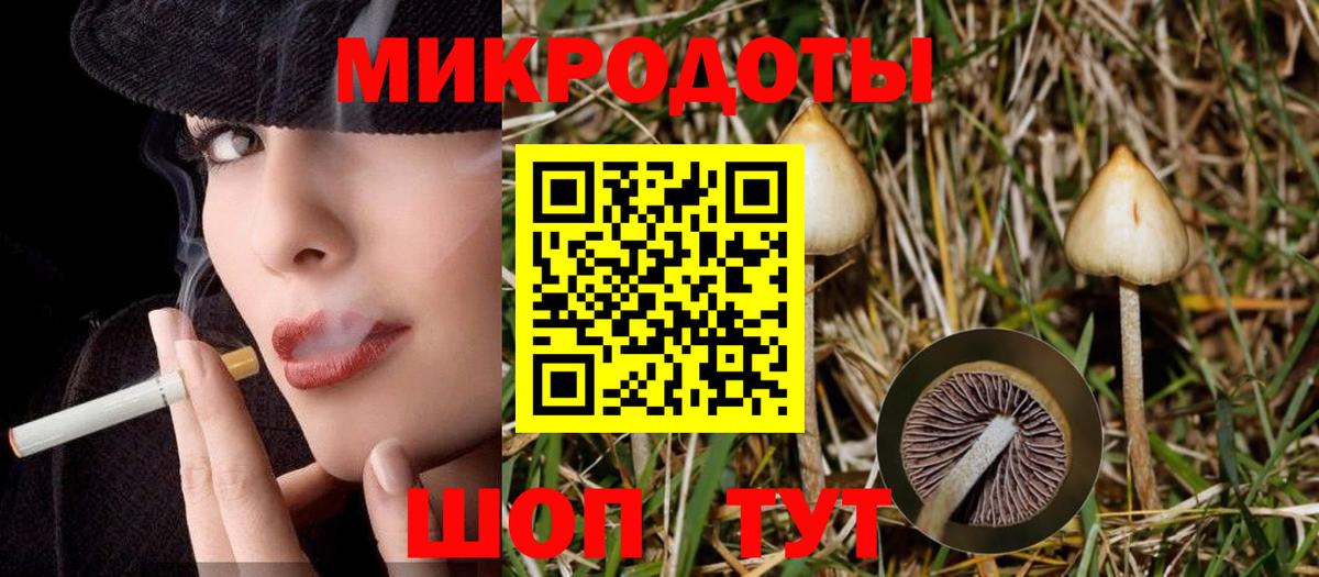 Галлюциногенные грибы Cubensis  магазин    Углич  Вход с VPN  Псилоцибиновые грибы Psilocybine cubensis 
